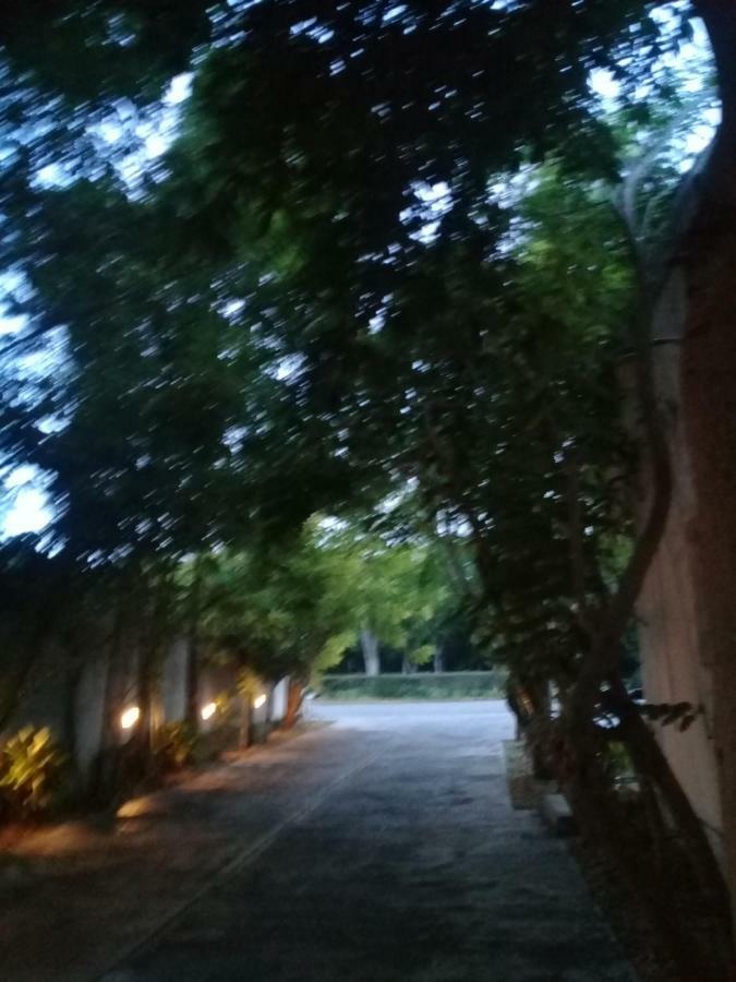 Hotel 41 Valladolid Валядолид Екстериор снимка